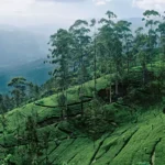 Bandarawela Sri Lanka tips til seværdigheder og oplevelser