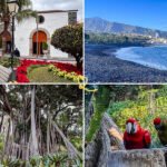 De bedste oplevelser: hvad skal man se i Puerto de la Cruz