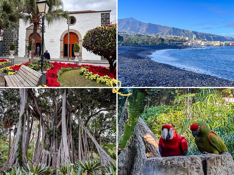De bedste oplevelser: hvad skal man se i Puerto de la Cruz