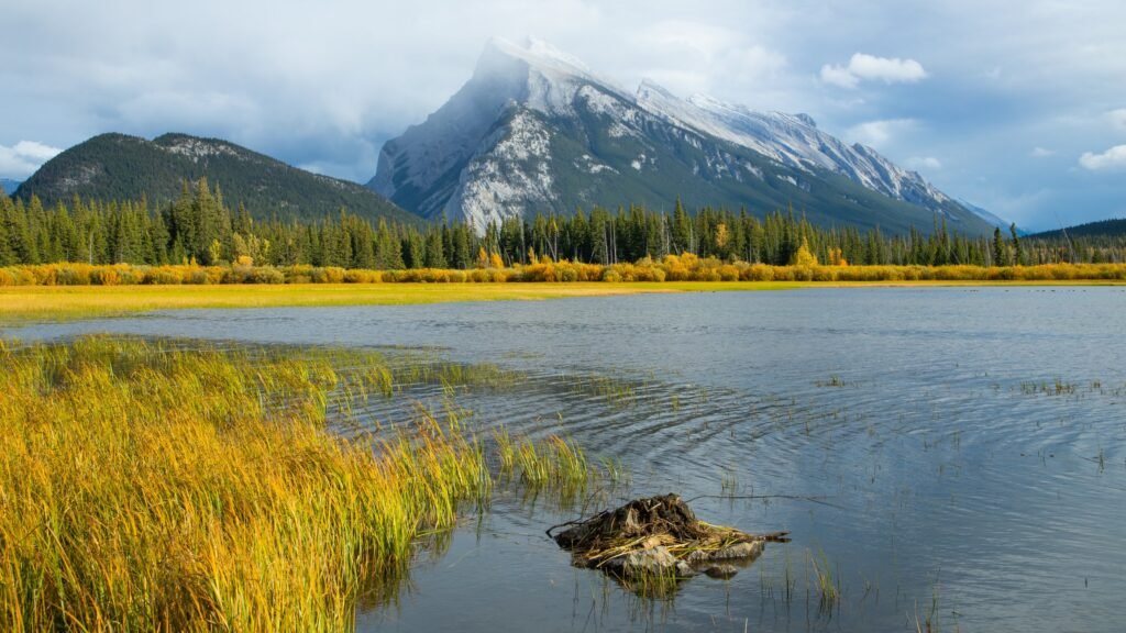 De bedste oplevelser i Banff: hvad skal man se?