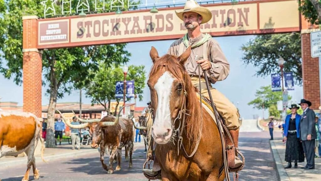 Din ultimative guide til hvad skal man se i Texas