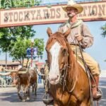 Din ultimative guide til hvad skal man se i Texas