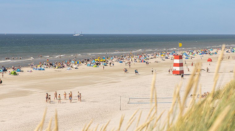 En guide til hvad skal man se ved Henne Strand