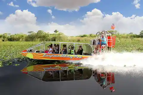 Everglades hvad skal man se – Guide til de bedste oplevelser