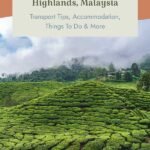 Guide til hvad man skal se i Cameron Highlands