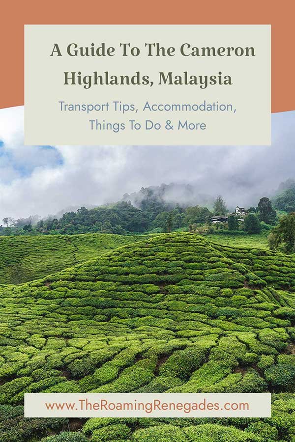 Guide til hvad man skal se i Cameron Highlands