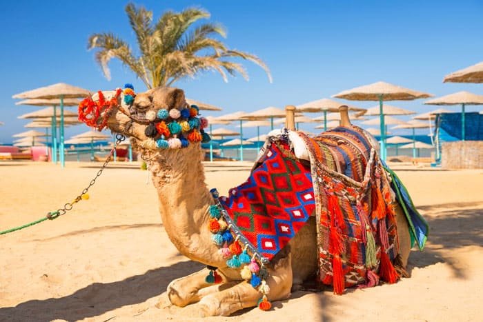 Guide til hvad skal man se i Hurghada: Top oplevelser