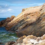 Guide til hvad skal man se i Skåne – Top oplevelser
