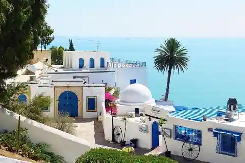 Guide til hvad skal man se i Tunis: Top oplevelser