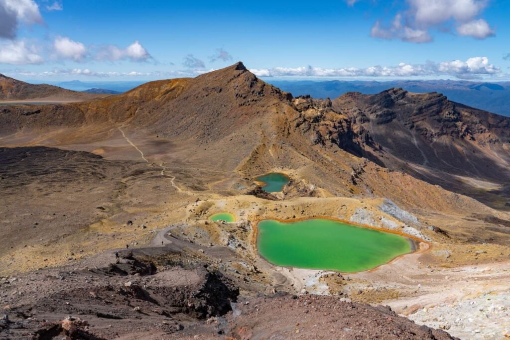 Guide til hvad skal man se på nordøen i New Zealand