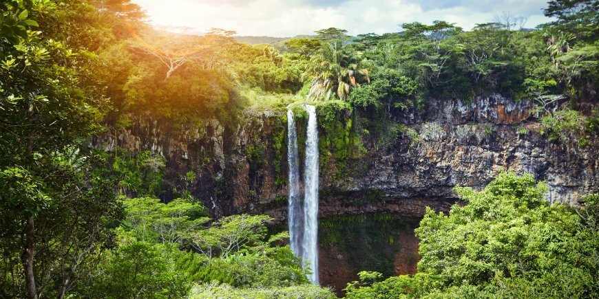 Hvad skal man se i Afrika – Top 10 oplevelser og tips