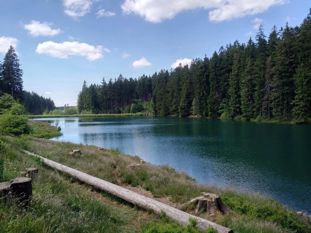 Hvad skal man se i Goslar – Tips til oplevelser og seværdigheder