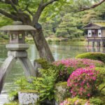 Hvad skal man se i Japan? Tips til unikke oplevelser