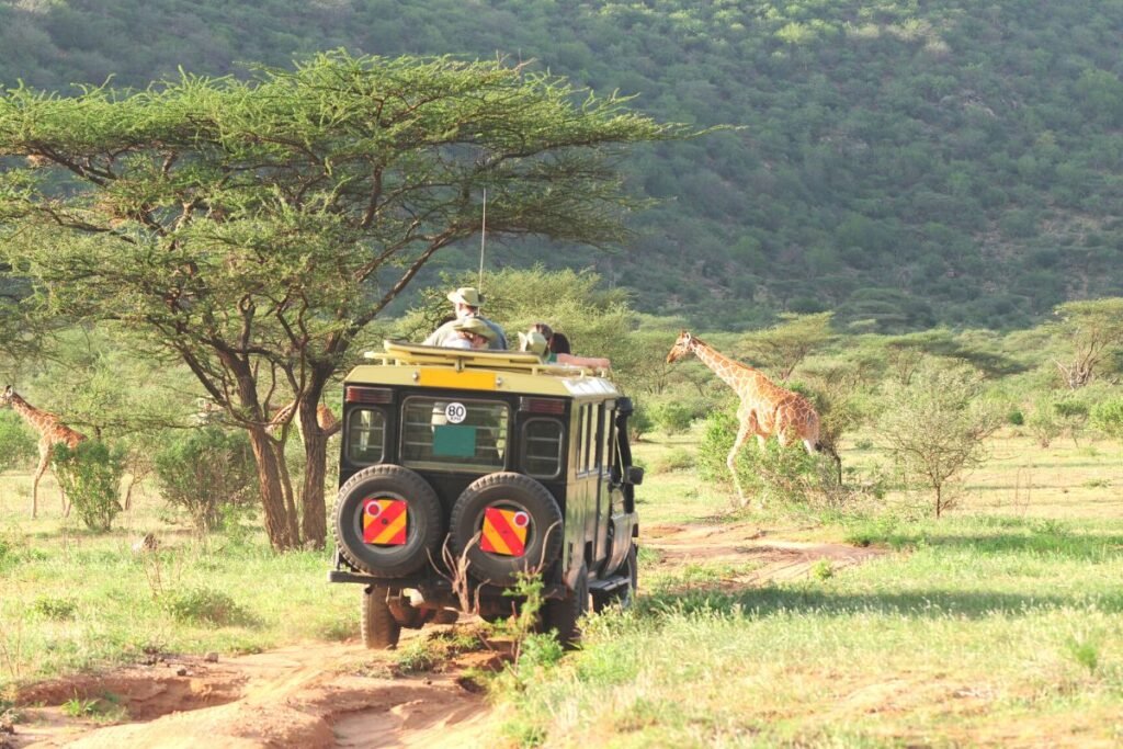 Hvad skal man se i Kenya – tips til fantastiske oplevelser