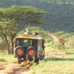 Hvad skal man se i Kenya – tips til fantastiske oplevelser