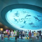 Hvad skal man se i Miami Downtown – Guide til oplevelser