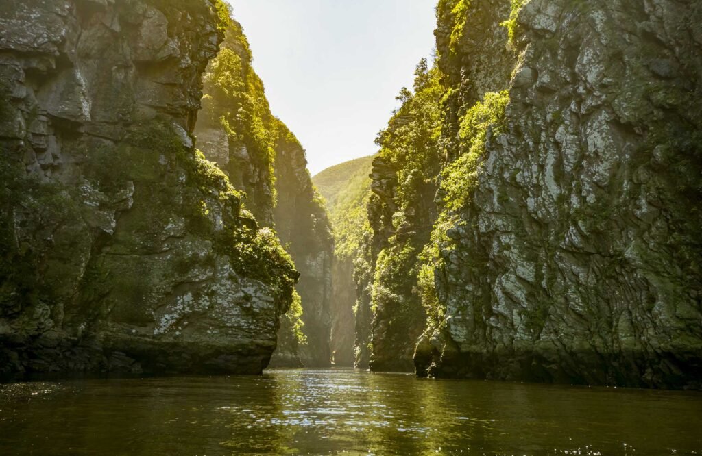Hvad skal man se i Sydafrika – Guide til de bedste oplevelser