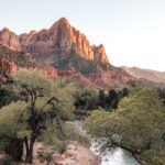 Hvad skal man se i Zion National Park Tips og Oplevelser