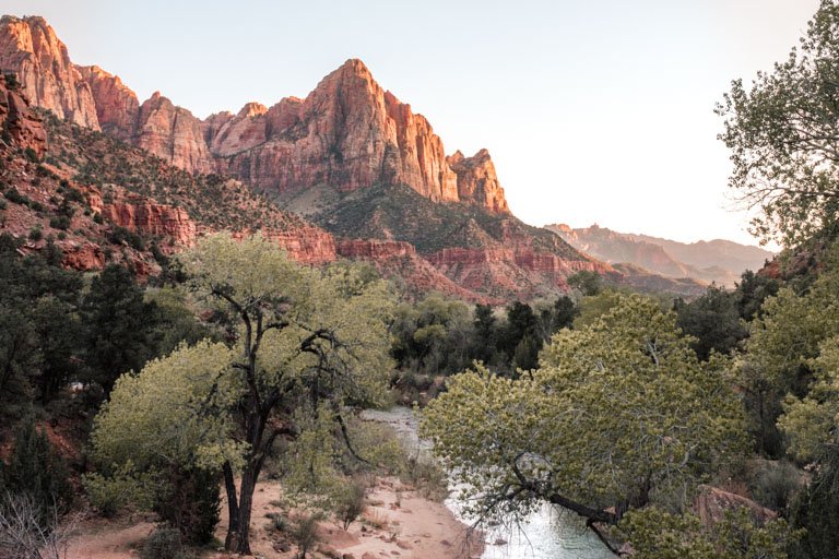 Hvad skal man se i Zion National Park Tips og Oplevelser