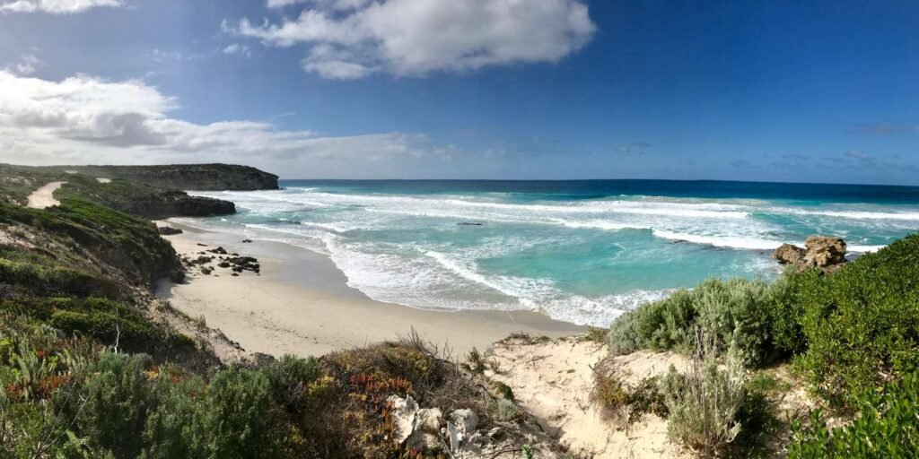 Hvad skal man se på Kangaroo Island: Guide til oplevelser