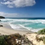 Hvad skal man se på Kangaroo Island: Guide til oplevelser