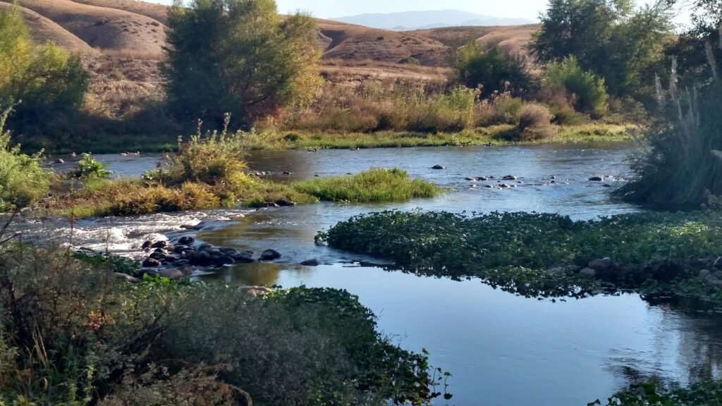 Oplev de bedste seværdigheder i Bakersfield – Din guide