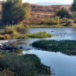 Oplev de bedste seværdigheder i Bakersfield – Din guide