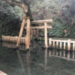 Oplev de bedste seværdigheder i byen Kashima – Guide og tips