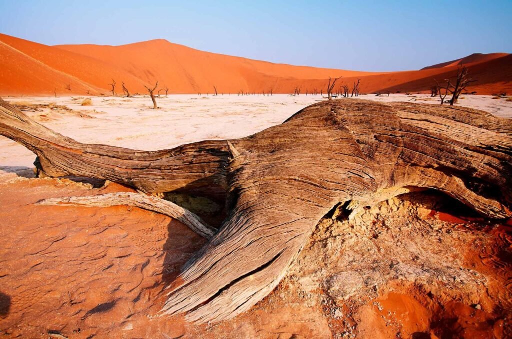 Oplev de bedste seværdigheder i Namibia: Din guide til hvad skal man se
