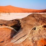 Oplev de bedste seværdigheder i Namibia: Din guide til hvad skal man se