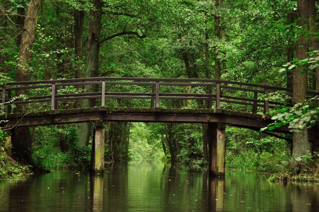 Oplev de bedste seværdigheder i Spreewald: En guide til hvad skal man se