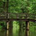 Oplev de bedste seværdigheder i Spreewald: En guide til hvad skal man se
