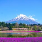 Syd Japan hvad skal man se Guide til uforglemmelige oplevelser