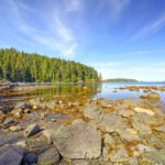 Uundgåelige oplevelser: Hvad skal man se på Vancouver Island