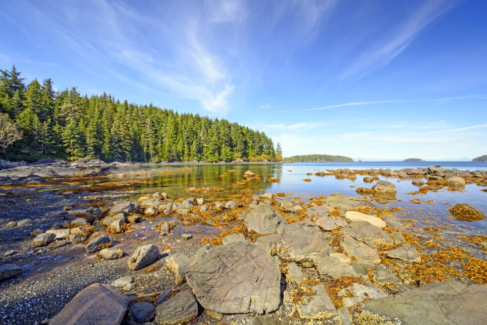 Uundgåelige oplevelser: Hvad skal man se på Vancouver Island